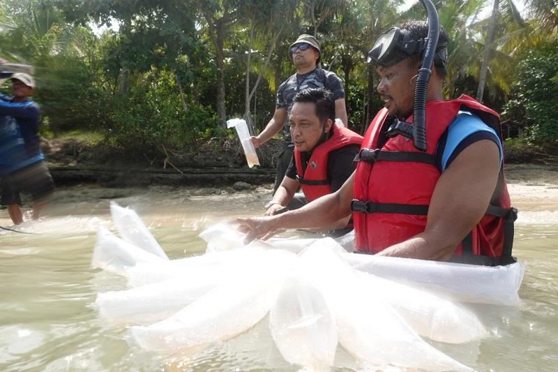 KKP Lepasliarkan  Benih Lobster di Pulau Liwungan Pandeglang