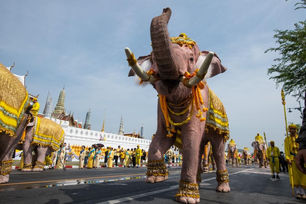 Pawai Gajah