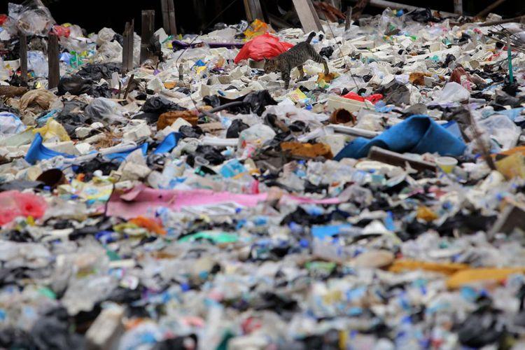 Buang Sampah Sembarangan di Bogor Didenda Rp50 Juta