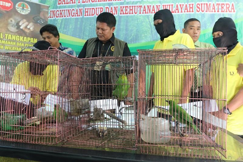 Tangkap Pemburu Burung