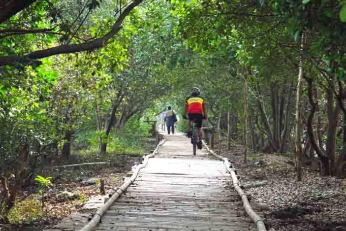 Hutan Bakau Tanjung Pasir Diubah Jadi Wisata Bahari