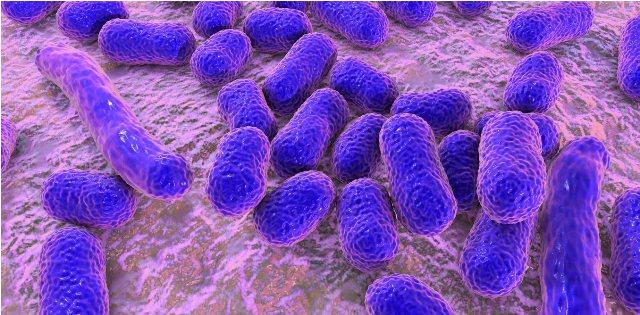 Dikembangkan, Metode Baru untuk Membunuh Bakteri