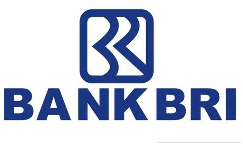 Bank Agroniaga Berpeluang Jadi Bank Digital