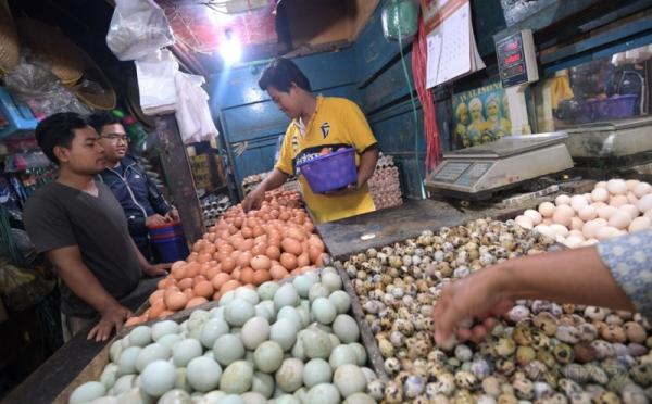 Tak Ada Telur Palsu di Jakarta