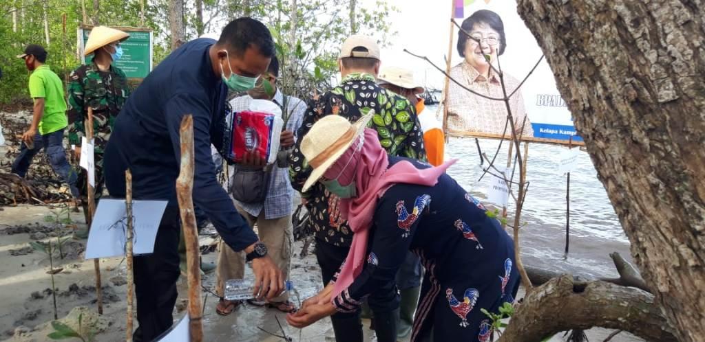 Program Padat Karya Penanaman Mangrove KLHK Diharapkan Berkesinambungan