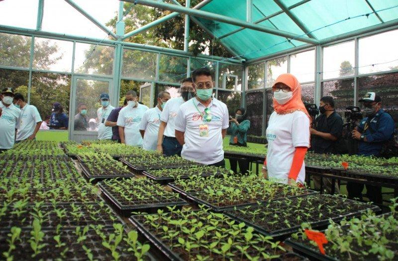  Kini, Jakarta Miliki Wisata Agro di Ragunan