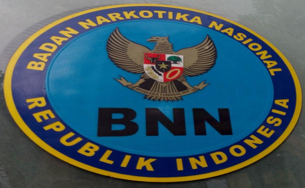 Selama Maret, BNN Ungkap Tiga Kasus Narkotika