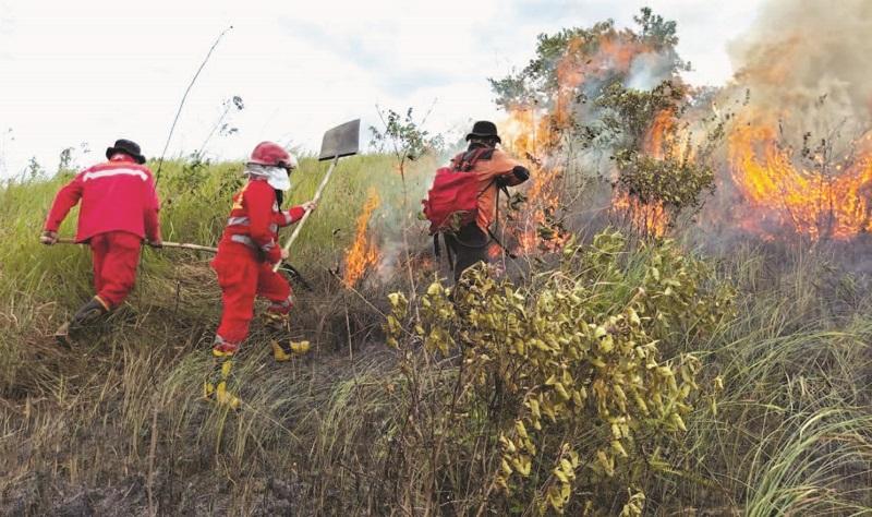 KEBAKARAN HUTAN