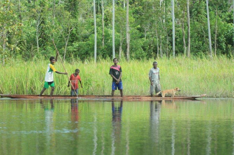 BRG Targetkan Restorasi 39.239 Ha Lahan Gambut di Papua