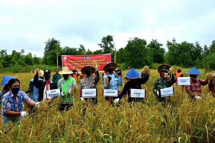 Rutan Kapuas Garap Lahan Tidur Menjadi Produktif Pertanian