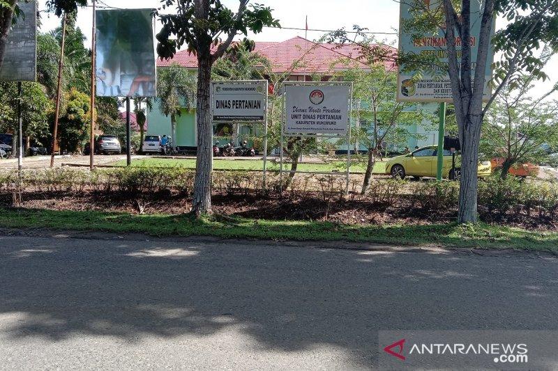 Mukomuko Dorong Pembentukan Kelompok Peternak Ayam Petelur