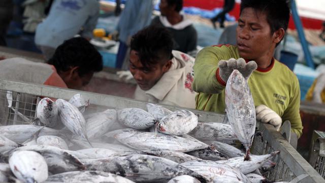 KKP Bentuk Unit Pengolahan Ikan