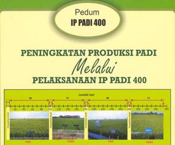 Petani Margasana Banyumas Lakukan Demplot dengan Konsep IP 400