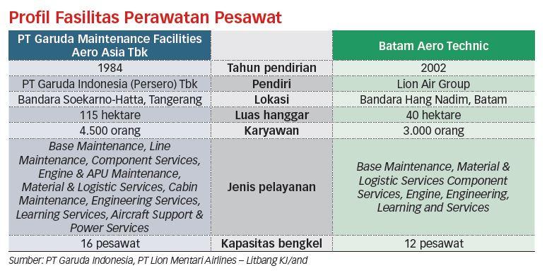 Fasilitas Perawatan Tak Layak, Rute Penerbangan Harus Dibatasi