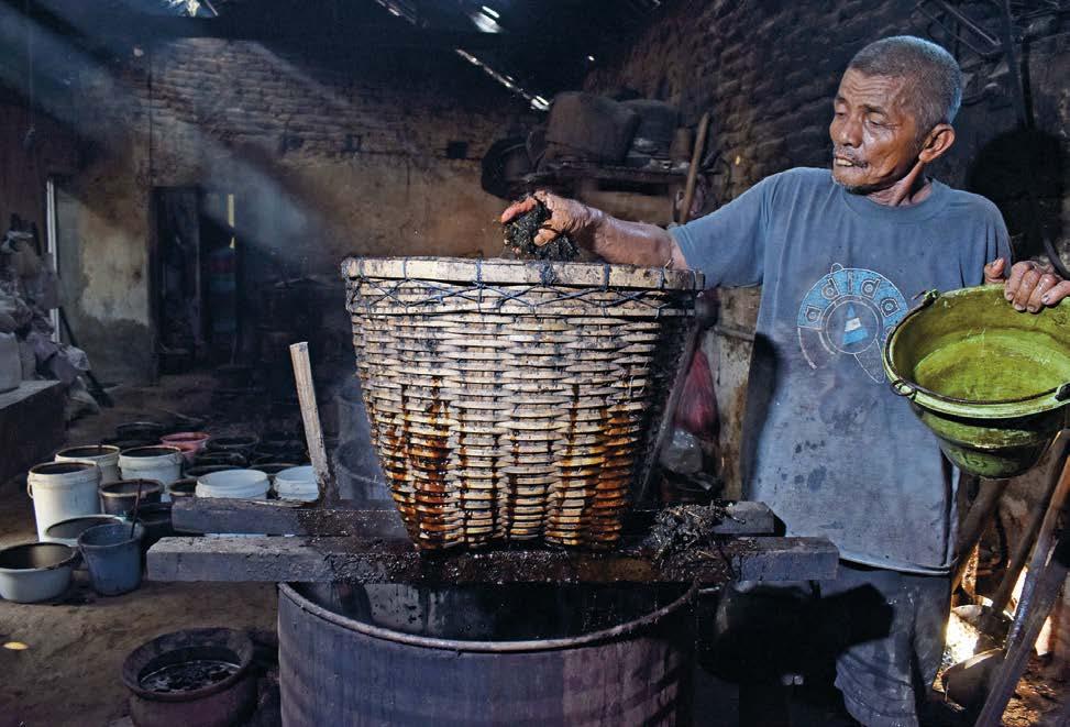 Produksi Cincau