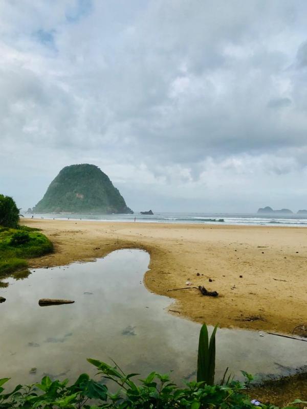 Pilihan Surfing Para Pemula