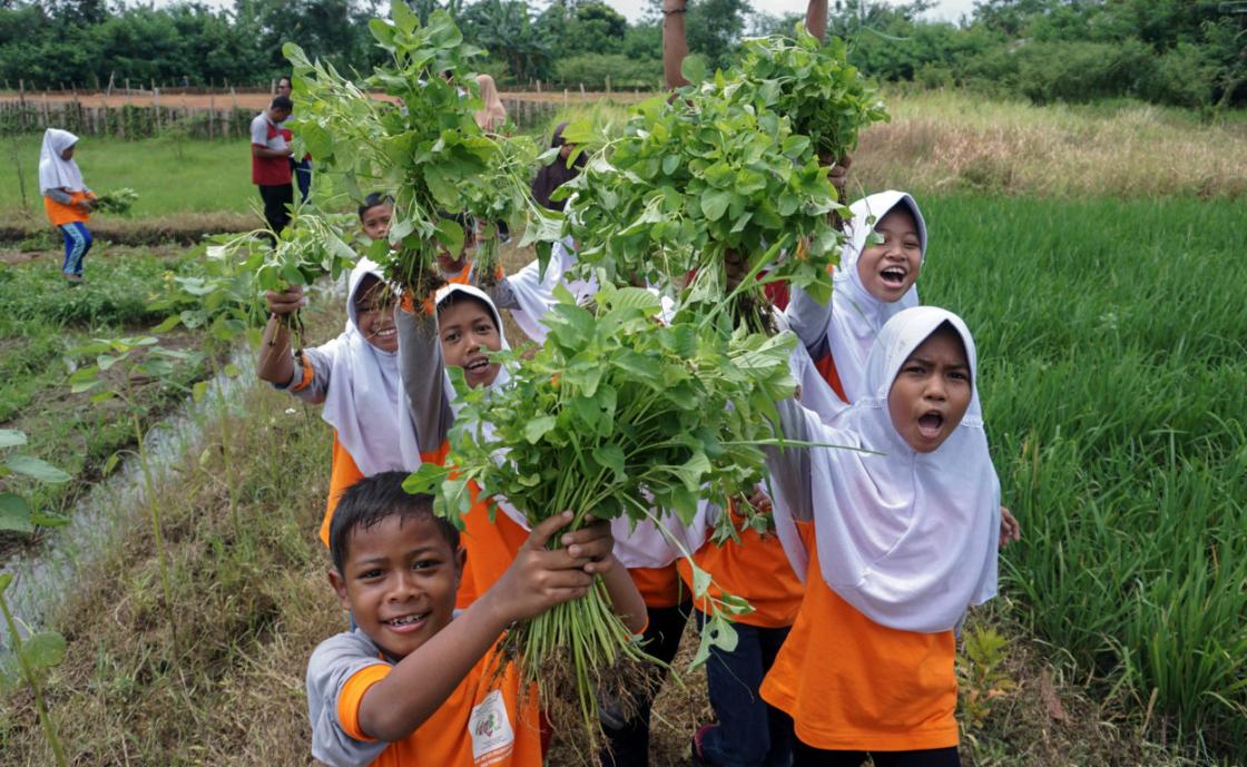 Gerakan Makan Sayur