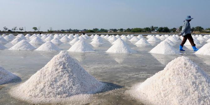 Pengembangan Garam Terkendala Lahan 