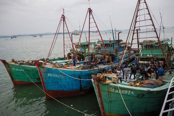 Pemerintah Investigasi Kapal Ikan Asing