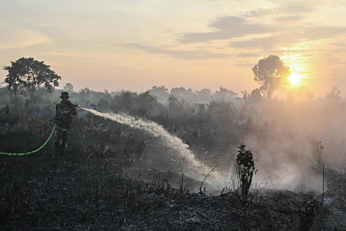 Menteri LHK: Kebakaran Hutan Kian Meluas