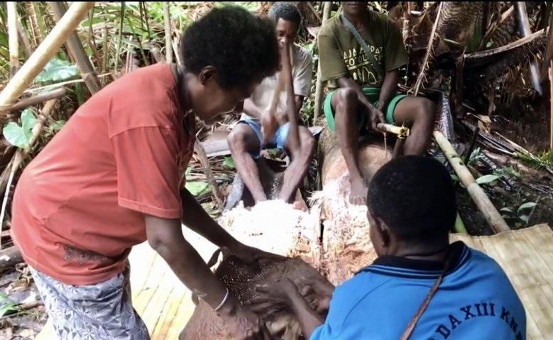 Mempertahankan Sagu Bahan Pangan Asli Papua yang Bergizi Tinggi