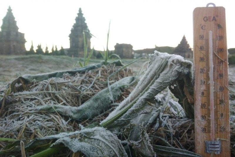 Embun Upas Kembali Muncul di Kawasan Wisata Dieng