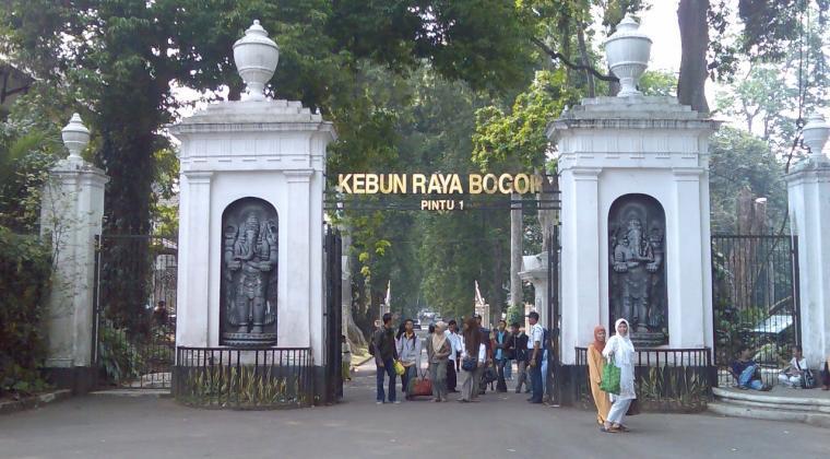 Cuaca Membaik, Kebun Raya Bogor Kembali Dibuka