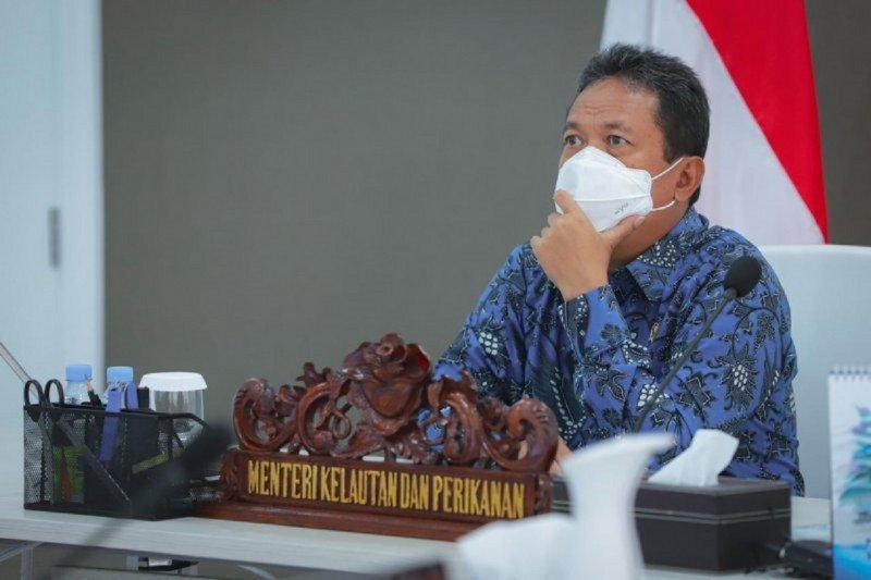 Menteri Kelautan Targetkan RI Jadi Produsen Udang Vaname Terbesar