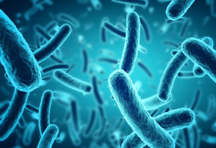 Ilmuwan Buat Perangkat Pendeteksi Bakteri Tercepat