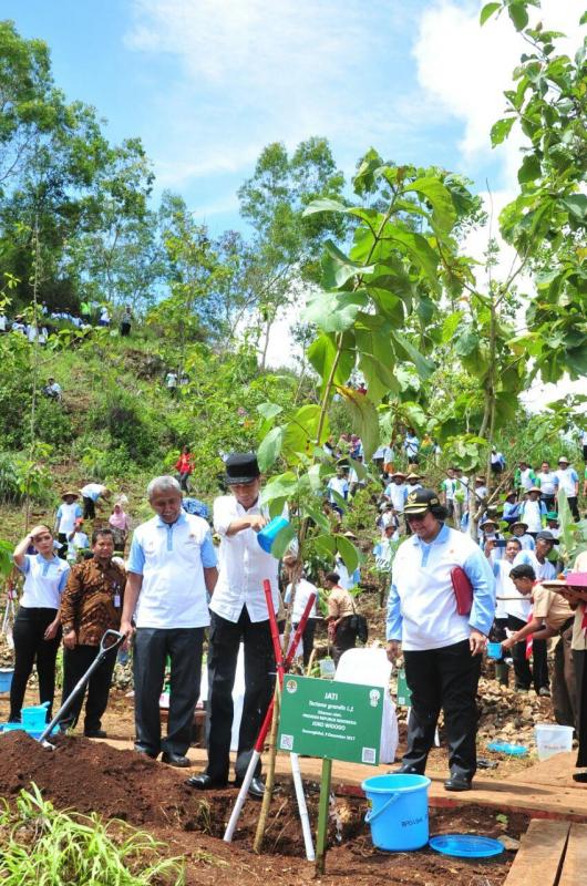 Pertumbuhan Pohon yang Ditanam Terus Diawasi