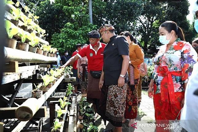 Bupati Gianyar Dorong Usaha Pertanian di Lahan Rumah