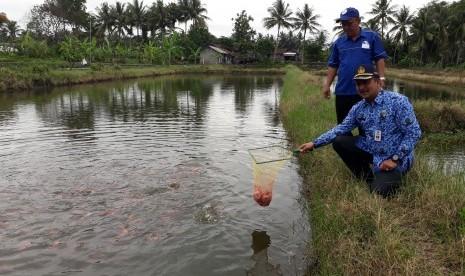 Sleman Ciptakan Klaster Budidaya Perikanan Terintegrasi