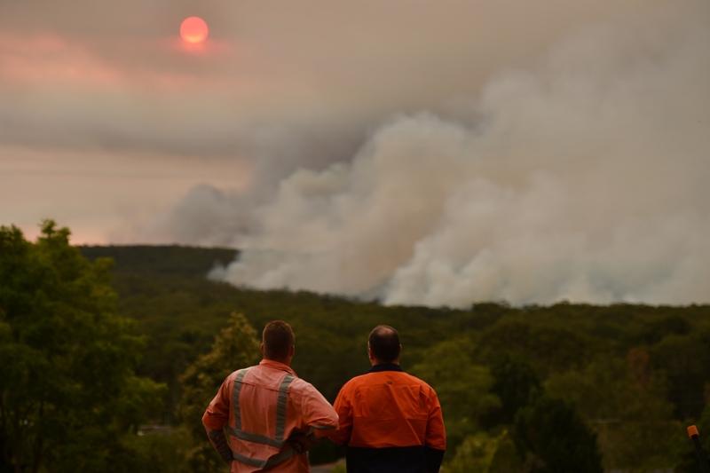 New South Wales Umumkan Darurat Kebakaran Semak
