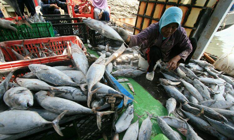 Konsumsi Ikan di Jawa Rendah