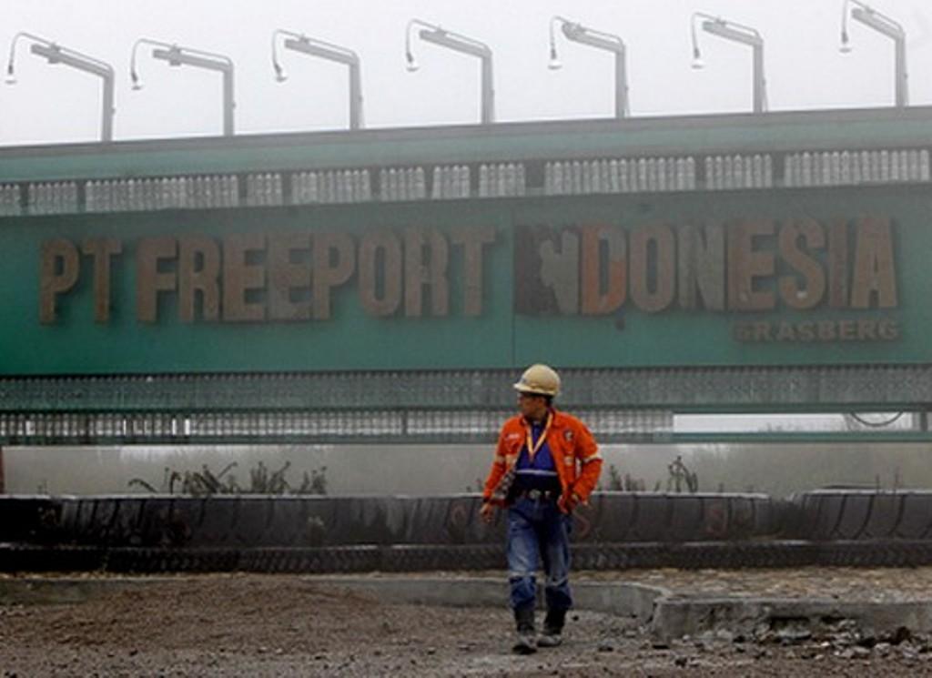 BEI: Gunakan Dana Abadi untuk Beli Saham Freeport