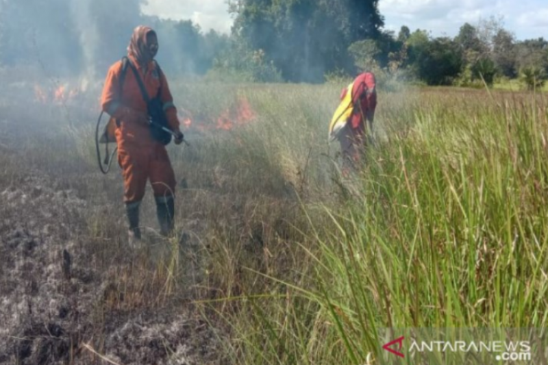 4,5 Hektare Savana Taman Nasional Rawa Aopa Watumihao Terbakar