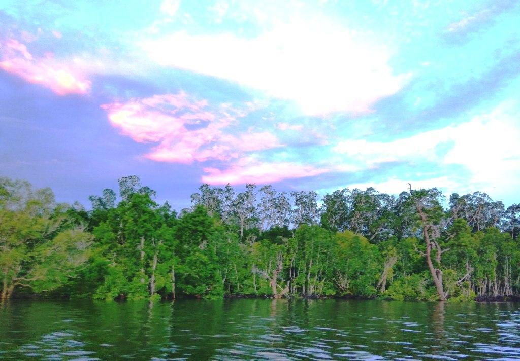 Kerusakan Kawasan Mangrove Capai 1,82 Juta Ha