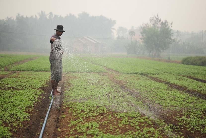 Petani Muda Garut Inisiatif Bentuk Koperasi