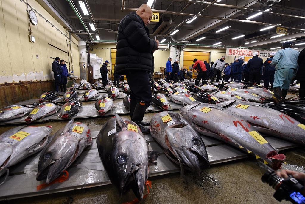 Jepang Gagal Dapatkan Tambahan Kuota Tuna