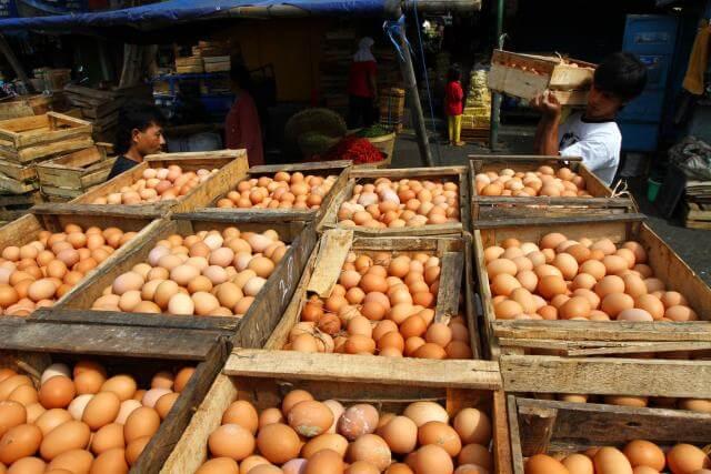 Harga Telur Ayam Naik Jadi Rp30.000 Per Kilogram