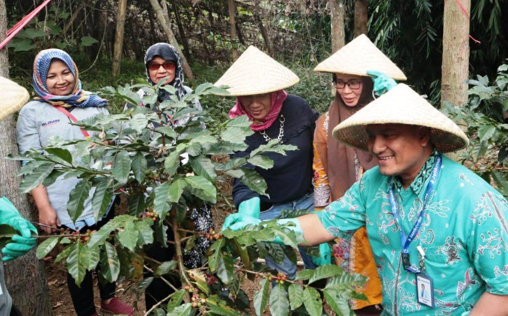 Pelatihan Petani Kopi