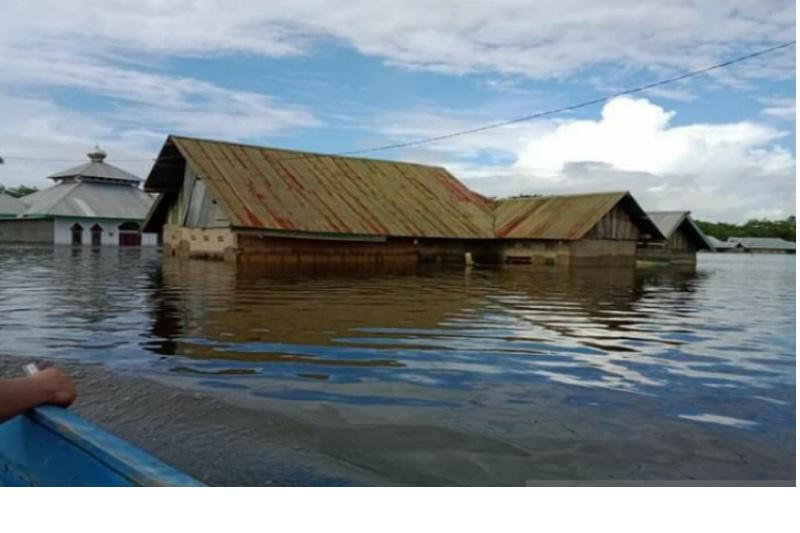 Dampak Banjir Konawe Meluas ke 62 Desa