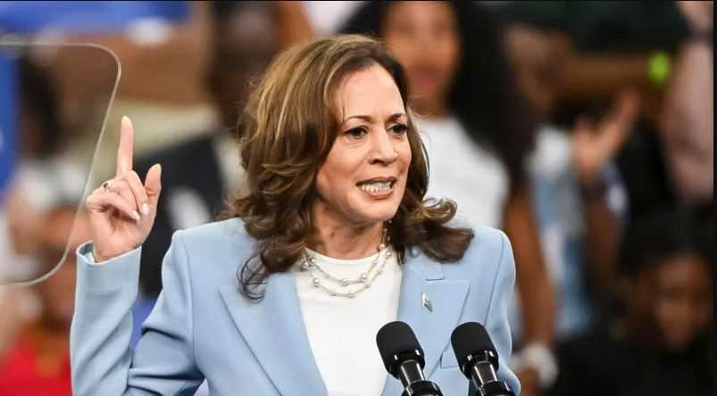 Pilpres AS, 5 Kandidat Teratas Muncul untuk Cawapres Kamala Harris