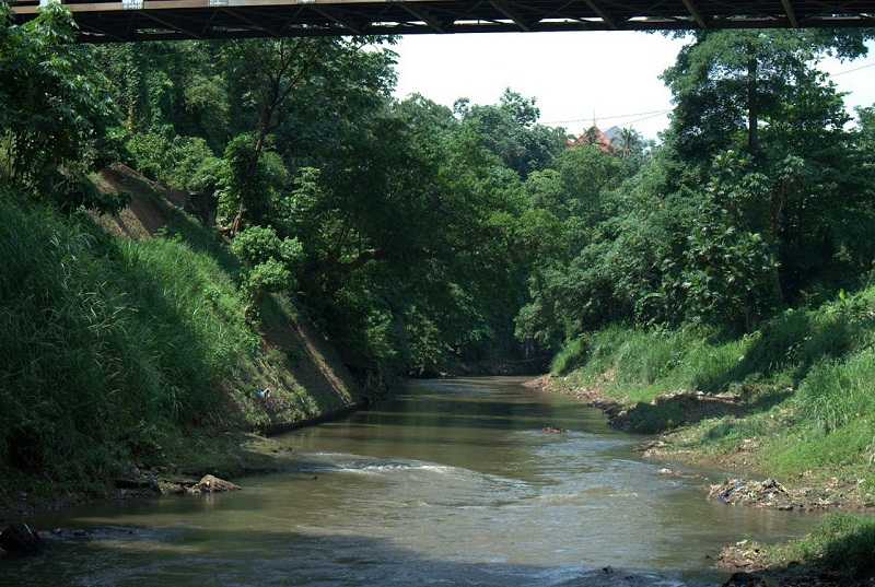 PIS dan KLHK Ajak Masyarakat Lestarikan Sungai lewat Festival Ciliwung