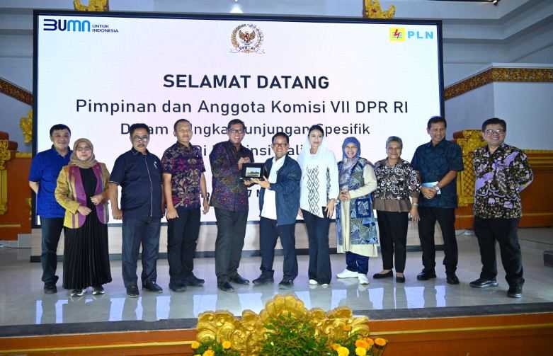 PLTS Nusa Penida Bisa Jadi Pelopor Energi Baru Terbarukan di Indonesia
