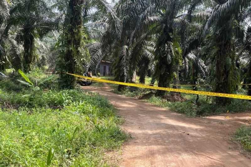 PMI Asal NTB Tewas Tertembak di Kebun Sawit Malaysia, KJRI Kuching Monitor Penanganannya