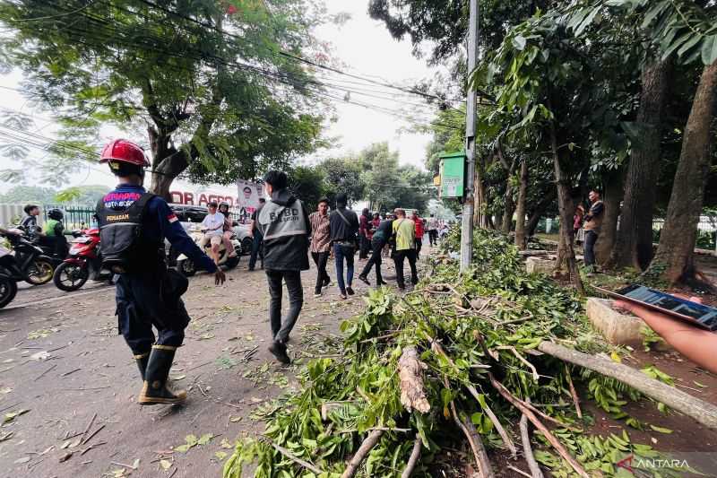 Pohon tumbang di Jalan Tentara Pelajar Kota Bogor tewaskan pemotor