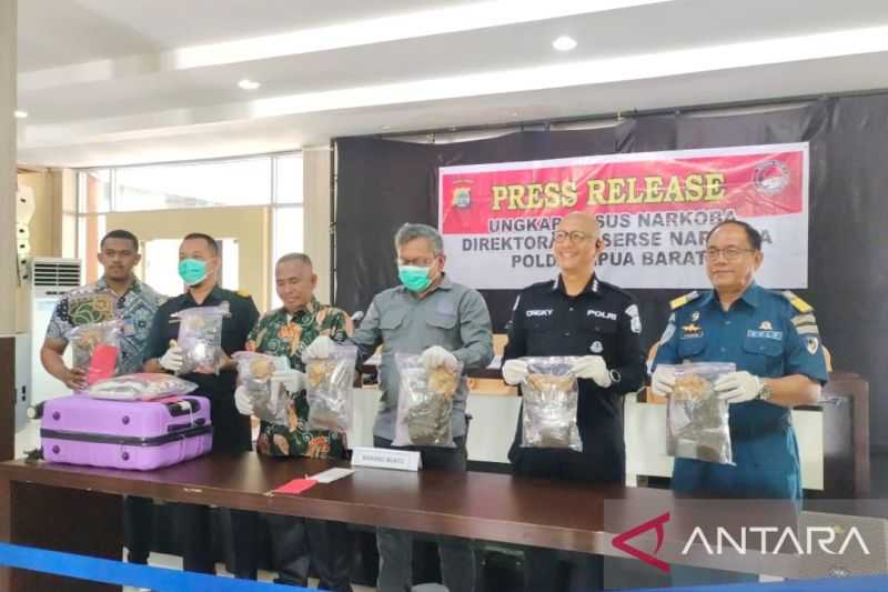 Polda Papua Barat Gagalkan Peredaran Ganja 1,7 Kilogram di Manokwari