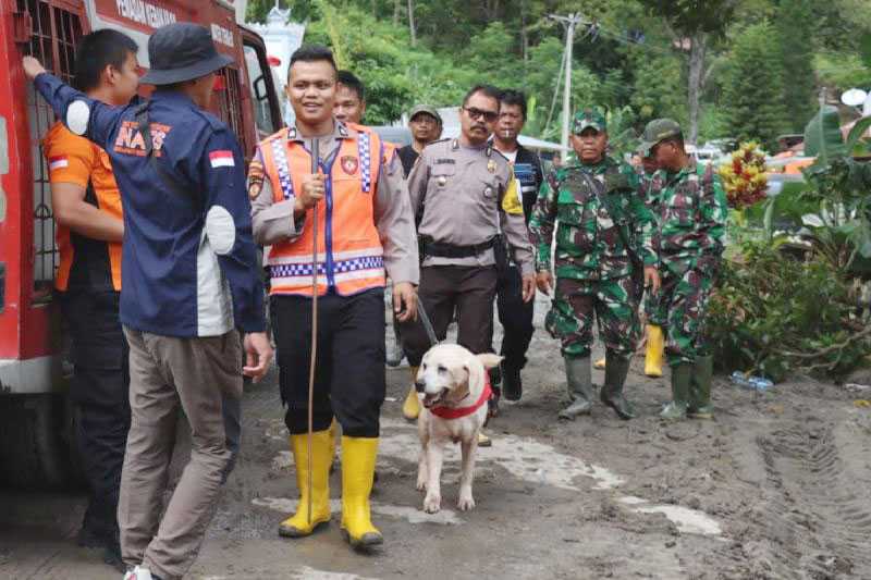 Polda Sumut Turunkan Anjing Pelacak Bantu Pencarian Korban di Humbahas