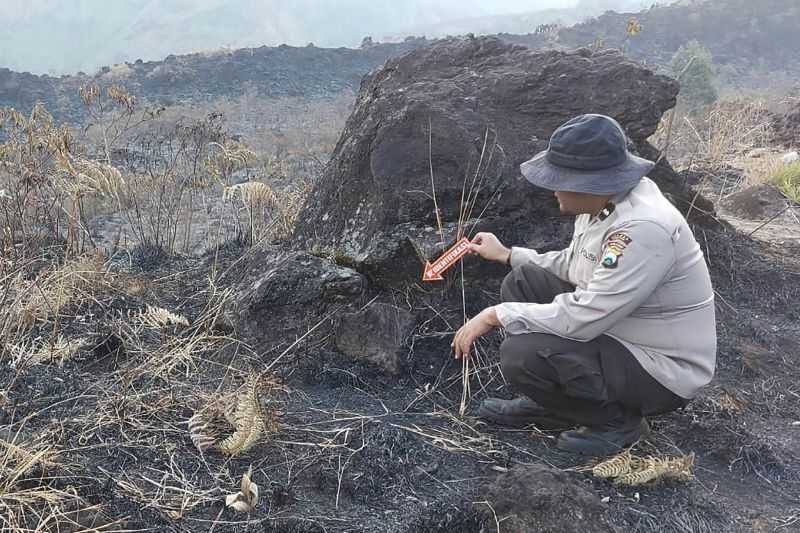 Polisi Kumpulkan Bukti-bukti Penyebab Kebakaran di Lereng Gunung Arjuno